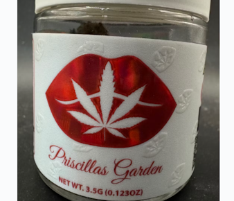 Priscilla's Garden | Flower - Peanut Butter Pie | 3.5g