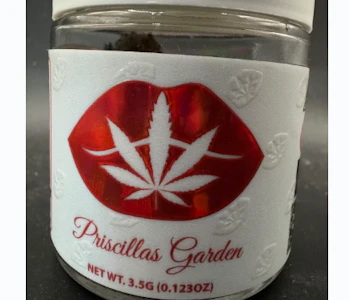 Priscilla's Garden - Priscilla's Garden | Flower - Peanut Butter Pie | 3.5g