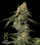 Larry Burnz | Small Batch Flower 3.5g