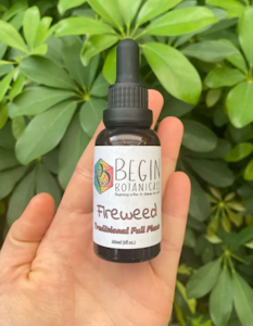 Begin Botanicals - Fireweed Infusion 1oz | Begin Botanicals