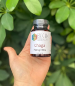CBGa & 6 Mushroom 30pack Capsules | Begin Botanicals