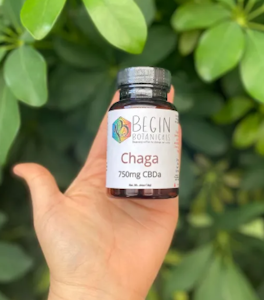 Begin Botanicals - CBGa & 6 Mushroom 30pack Capsules | Begin Botanicals