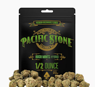PACIFIC STONE 14G Kush Mints Flower