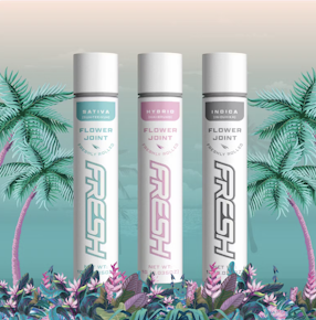 FRESH | Key Lime Kiss | 0.5g