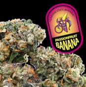 [REC] Garden State Banana | Passionfruit Banana | 3.5g Flower