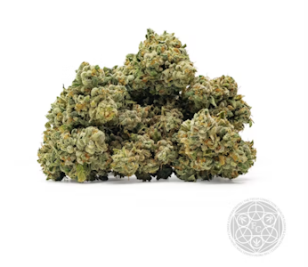 THE FRESH CONNECTION - Gas Leak | 3.5g Craft Cannabis | TAX INCLD