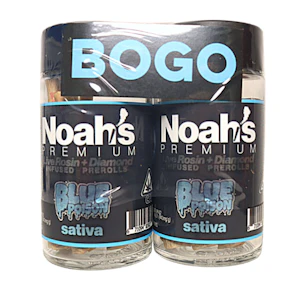 NOAH'S PREMIUM - Noah's Premium - 5g - 10pk Infused Pre Rolls - Blue Poison