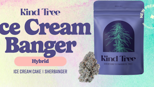 [REC] Kind Tree | Ice Cream Banger | 3.5g Flower
