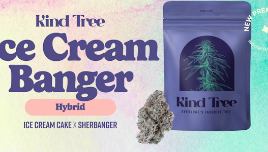 KIND TREE - [REC] Kind Tree | Ice Cream Banger | 3.5g Flower