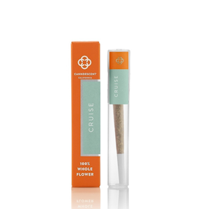 CANNDESCENT - Canndescent - 1g Pre Roll - Cruise