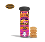 Papaya Peach (Live Resin Infused) Gummies - 100mg (I) - Lost Farms