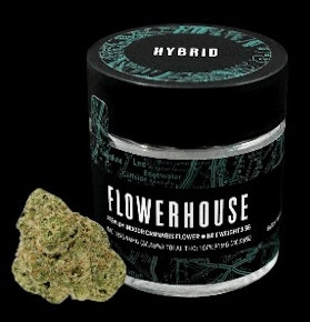 FlowerHouse | Flower - Mimosa Kush Mints | 3.5g