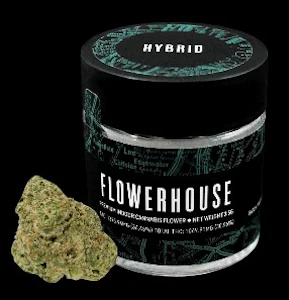FlowerHouse New York - FlowerHouse | Flower - Mimosa Kush Mints | 3.5g