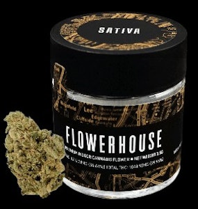 FlowerHouse New York - FlowerHouse | Flower - Jack Herrer | 3.5g