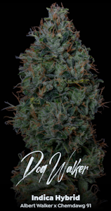 ALTERNATIVE SOLUTIONS - Dogwalker 3.5 Gram Jar By Alt Sol