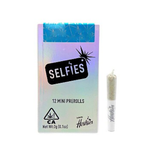 SELFIES - SELFIES - 3g - 12ct Infused Minis Pre Rolls - Ice Cream Cake