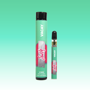 SAVVY - Savvy | Vacay Disposable | Pineapple Mimosa | 0.3g