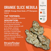 ORANGE SLICE NEBULA FLOWER THE BOTANIST 28g