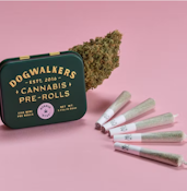 Jet Fuel OG - 5pk Pre-Rolls