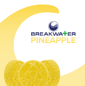 [MED] Breakwater | Pineapple | 100mg/10pk Soft Chews 