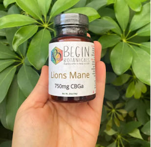 Begin Botanicals - Lions Mane Mushroom Capsules | Begin Botanicals
