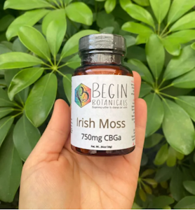 Begin Botanicals - Irish Moss & Bladderwrack Capsules | Being Botanicals