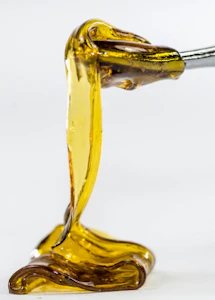 STIIIZY - Stiiizy - Galactic Gas - Live Rosin Jam - Concentrate - 1g