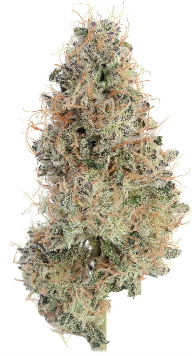 Happy Valley - Hash Burger - 3.5g - Happy Valley Main Image