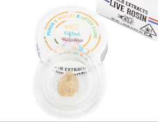 Punch Extracts | Tier 4 Orange GMO's live rosin badder 1g | 87.25% THCa