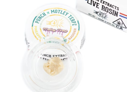 PUNCH EDIBLES & EXTRACTS - Punch Extracts | Tier 4 Pineapple Headhunter live rosin badder 1g | 86.60% THCa