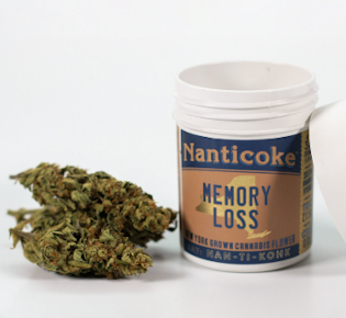 Nanticoke | Flower - Memory Loss | 3.5g