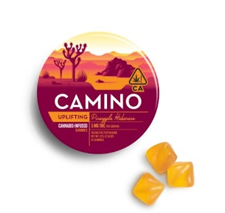 CAMINO - [CAMINO] THC Gummies - 100mg - Pineapple Habanero (Uplifting) (S)