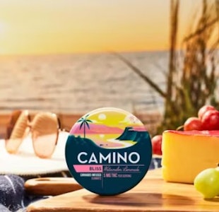 CAMINO - [CAMINO] THC Gummies - 100mg - Watermelon Lemonade (Bliss) (H)