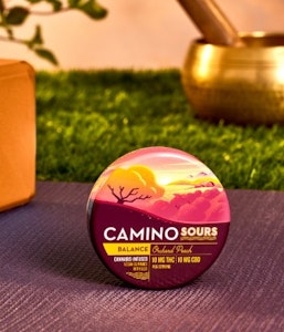 CAMINO - [CAMINO] THC Gummies - 100mg - Orchard Peach CBD 1:1 (Balance) (H)
