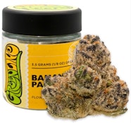 [GREENLINE] INDOOR FLOWER - 3.5G - BANANA PANCAKES (H)