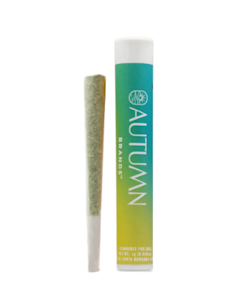 AUTUMN BRANDS - Autumn Brands Preroll 1g Blue Dream