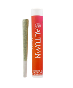 AUTUMN BRANDS - Autumn Brands Preroll 1g Slapz