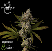 Bomb Cyclone | Good Chem Uniques 3.5g | TAX INCLUDED