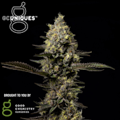 Cloudy Daze | Good Chem Uniques 3.5g | TAX INCLUDED