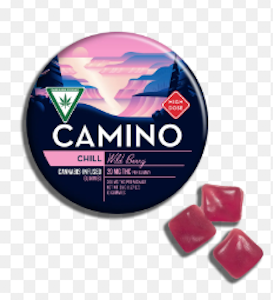 CAMINO - Camino - Wild Berry - Gummies - 20pk - 100mg