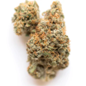 77 North - Bigfoot Glue - 3.5g Sungrown