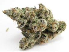 Apple Pie - 3.5g Mid Tier Flower