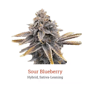 Victory Natural Farms - Sour Blueberry 3.5g