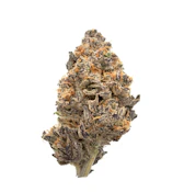 Flower | Super Silver Blue Magoo
