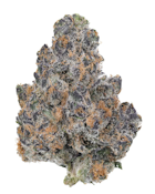 Herbarium | Apple Tartz | Sativa 14g