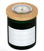 Stashlogix - Smart Jar - Small - Green - Accessory
