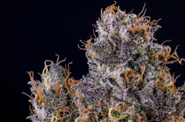 Fig Farms - Rapper Weed H - Flower - 3.5g