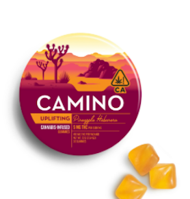 Camino | Edible | Gummies - Pineapple Habanero | 100mg