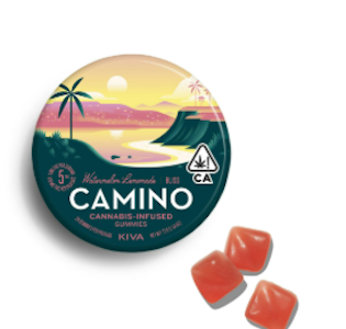 CAMINO - Camino | Edible | Gummies - Watermelon Lamonade | 100mg