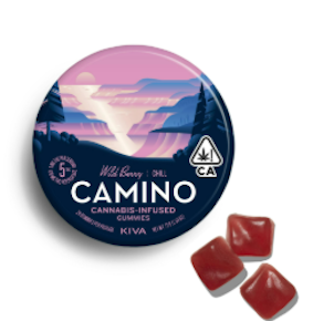 Camino | Edible | Gummies - Wild Berry | 100mg